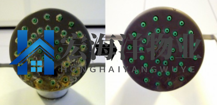 清洗淋浴噴頭有困難？有了這個技巧就很容易了！